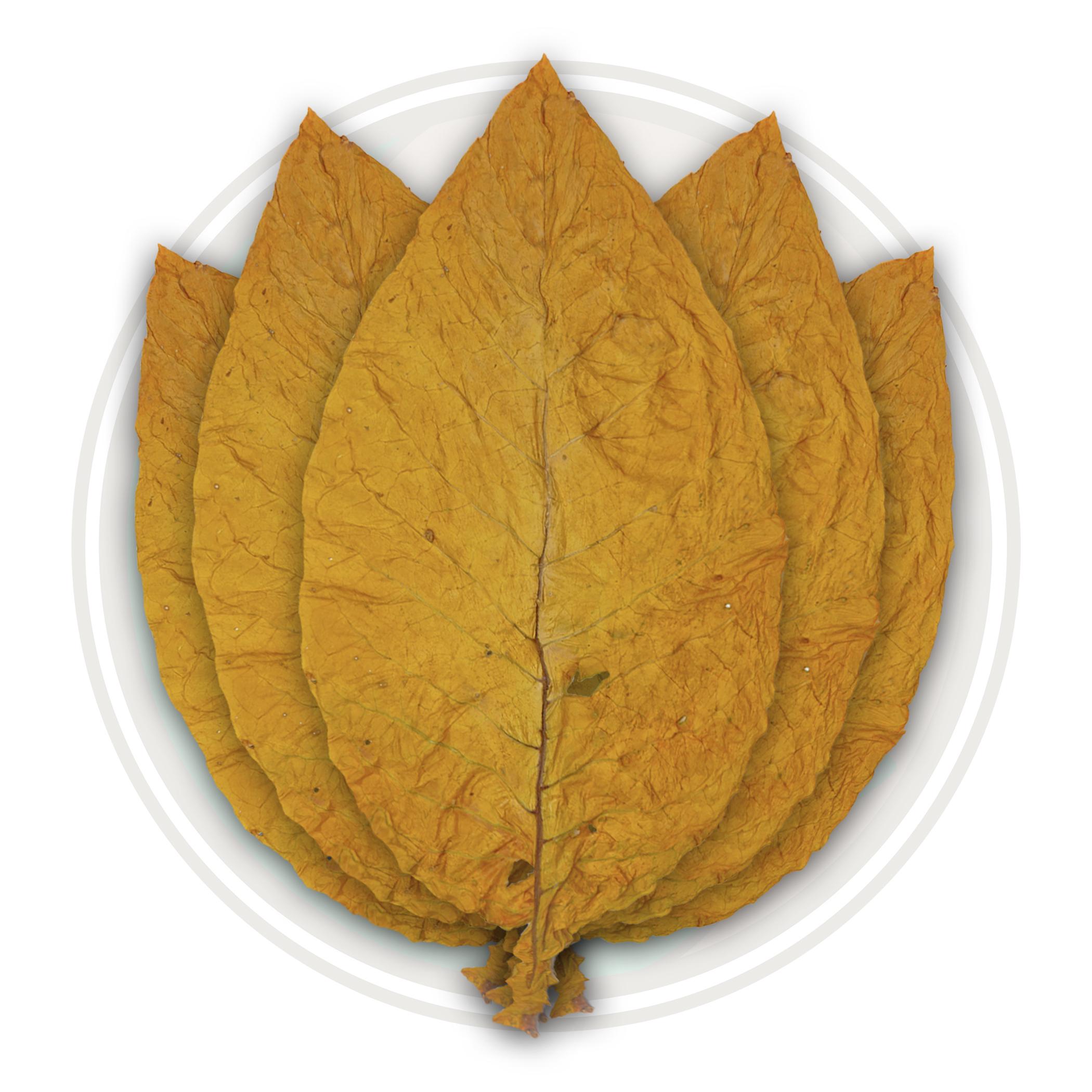 Canadian Virginia Flue Cured Tobacco Leaf Canadian Virginia Flue Cured Tobacco Leaf